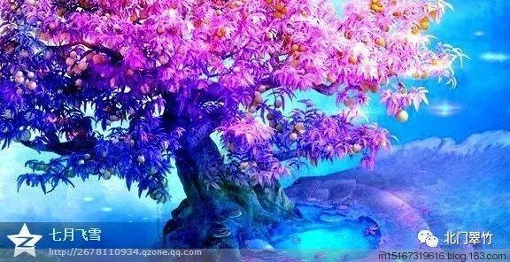 了解诸葛亮真是一个宁静淡泊之人吗?知识星球,深入探索专业领域